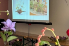 WhatsApp-Image-2025-08-18-at-16.52.21-5