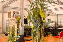 WhatsApp-Image-2025-08-16-at-11.57.53