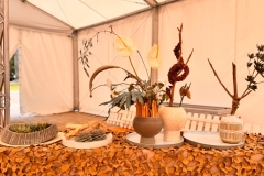 WhatsApp-Image-2025-08-18-at-16.17.29-1