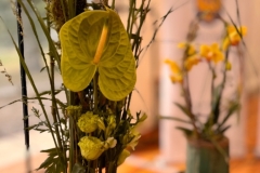 WhatsApp-Image-2025-08-18-at-16.17.29-2