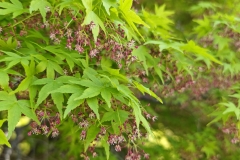IMG_20250416_110612