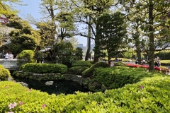 IMG_20250417_115058