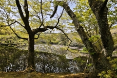 IMG_20250419_124956