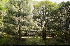 IMG_20250419_131546