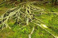 IMG_20250419_132835