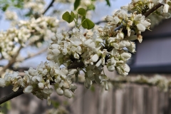 IMG_20250419_145649