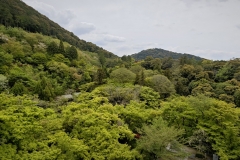 IMG_20250420_114311