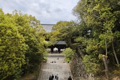 IMG_20250420_131624