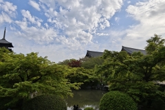 IMG_20250420_162410