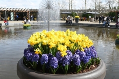 DSC_1372