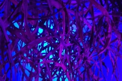 20241019_115603