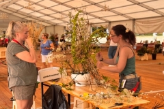 WhatsApp-Image-2025-08-18-at-16.17.30-2