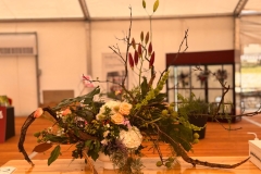 WhatsApp-Image-2025-08-18-at-16.35.29-1