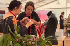 WhatsApp-Image-2025-08-18-at-16.35.49-1