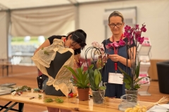 WhatsApp-Image-2025-08-18-at-16.35.49