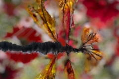 WhatsApp-Image-2025-08-18-at-16.17.25-7