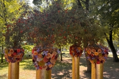 WhatsApp-Image-2025-08-18-at-16.17.26-1