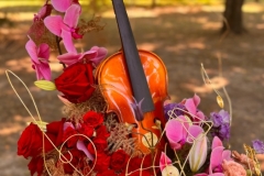 WhatsApp-Image-2025-08-18-at-16.17.26-2