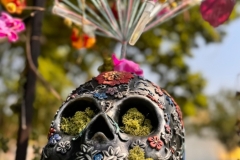 WhatsApp-Image-2025-08-18-at-16.35.29