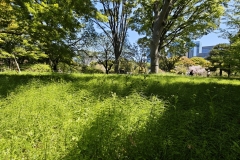 IMG_20250416_105659
