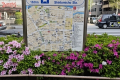 IMG_20250417_153309