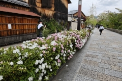 IMG_20250420_140959