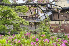 IMG_20250420_141041