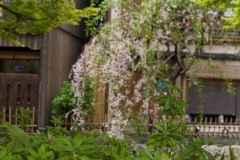 IMG_20250420_141526