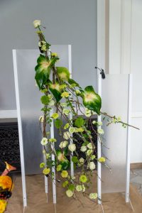 praca egzaminacyjna na mistrzynię florystyki