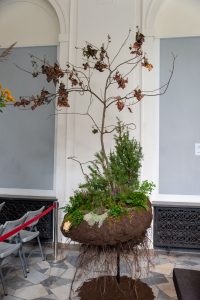 praca egzaminacyjna na mistrzynię florystyki