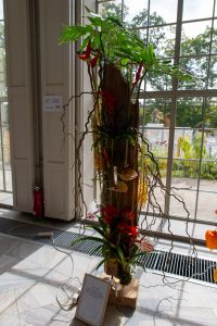 praca egzaminacyjna na mistrzynię florystyki