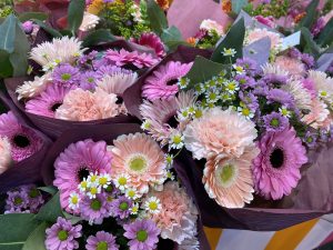 kolorowe kwiaty z przeznaczeniem do sprzedaży w sieciach retailowych.