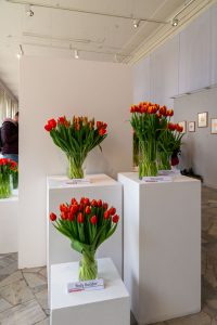 kolorowe tulipany w wazonach