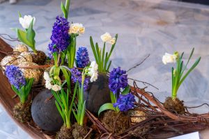 aranżacja florystyczna z wykorzystaniem kwiatów cebulowych