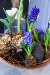 aranżacja florystyczna z wykorzystaniem kwiatów cebulowych