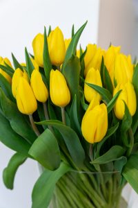 tulipany w wazonie