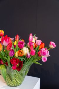 kolorowe tulipany w szklanym wazonie