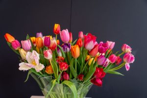 kolorowe tulipany w szklanym wazonie