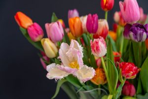 kolorowe tulipany w szklanym wazonie