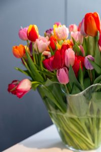 kolorowe tulipany w szklanym wazonie