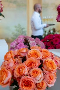 wystawa róż w Starej Oranżerii