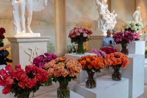 wystawa róż w Starej Oranżerii