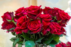 bukiet róż