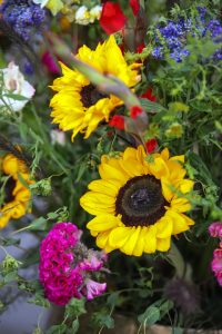 bukiet świeżych kolorowych kwiatów od 365 Dni Kwiatów