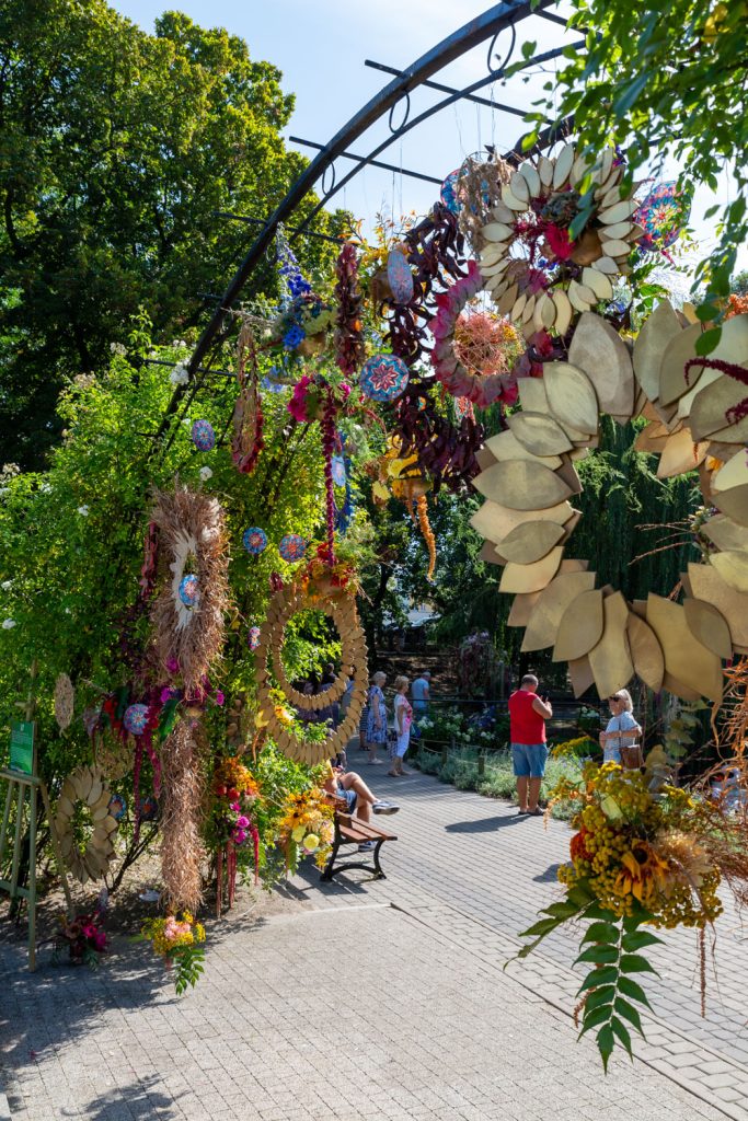 Róża wiatrów- Tomasz Iwanow, Agnieszka Pyda- Medyk oraz Eliza Pielocha