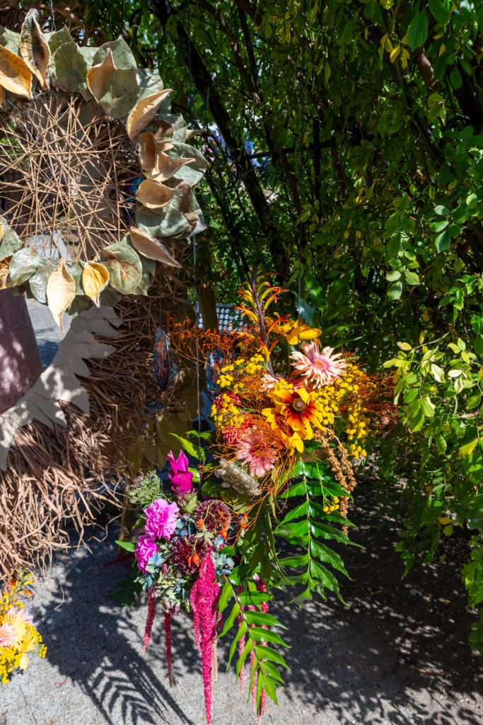 Róża wiatrów- Tomasz Iwanow