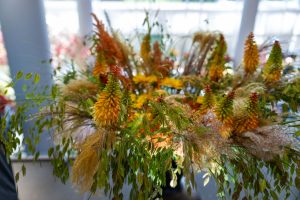 Katarzyna Pacewicz- Pyrek