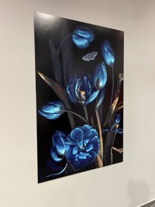 wystawa fotografii Magdy Wasiczek