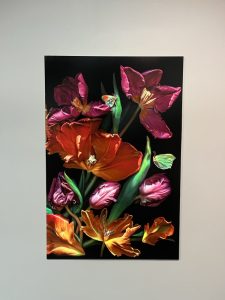 wystawa fotografii Magdy Wasiczek