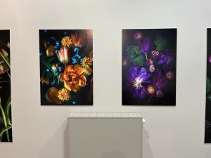 wystawa fotografii Magdy Wasiczek